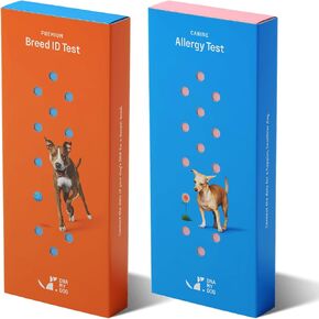 DNA My Dog – Premium Health & Breed Bundle | Breed ID Test (350+ Breeds, 99% Accuracy, Health Test, Age & Wolf DNA) & Allergy Test (120+ Allergens) | Noninvasive Cheek Swab, Fast Results & Custom Care in Kuwait