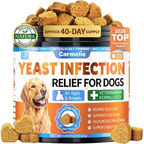 Yeast Infection Treatment for Dogs 200 Chew, Itch Ear Paw Skin Coat Support in Saudi Arabia