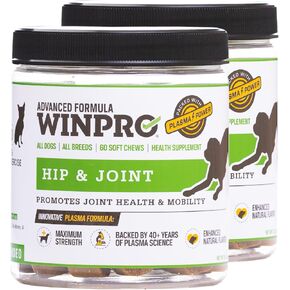 WINPRO Hip & Joint Supplement for Dogs - Plasma Powered Soft Chews for Joint Health & Mobility – Fast-Acting with Collagen & Natural Ingredients for Dogs of All Breeds – 60 Chews in Kuwait
