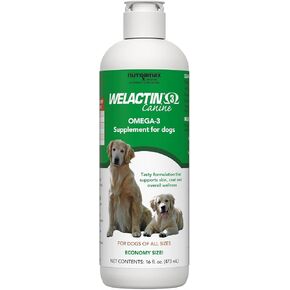 Nutramax Welactin Omega-3 Fish Oil Dog Supplement, Skin & Coat, Liquid 16oz in Kuwait