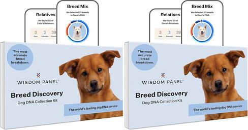 Wisdom Panel Breed Discovery Dog DNA Test Kit 430+ Breeds, MDR1 Health Test in Kuwait