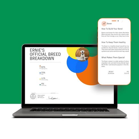 DNA MY DOG – Ultimate Health & Breed Bundle | Canine Allergy Test (120+ Allergens) & Breed ID Test (350+ Breeds) | Non-Invasive Cheek Swab, Fast Results, Detailed Reports & Personalized Tips in Kuwait