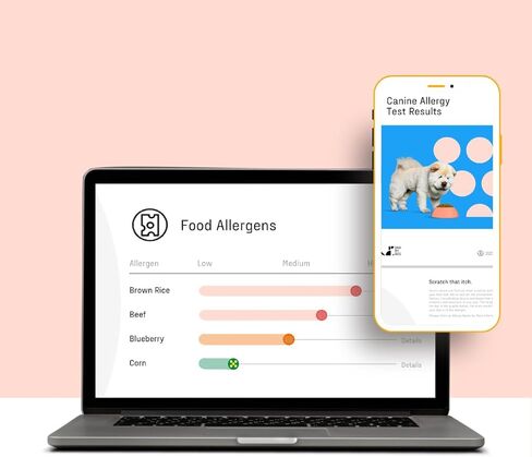 DNA MY DOG – Ultimate Health & Breed Bundle | Canine Allergy Test (120+ Allergens) & Breed ID Test (350+ Breeds) | Non-Invasive Cheek Swab, Fast Results, Detailed Reports & Personalized Tips in Kuwait