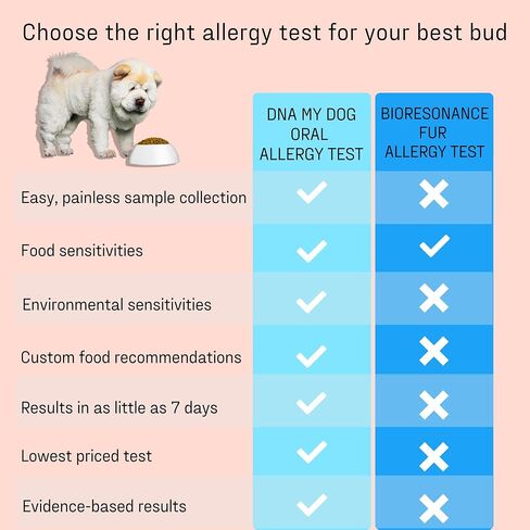 DNA MY DOG – Ultimate Health & Breed Bundle | Canine Allergy Test (120+ Allergens) & Breed ID Test (350+ Breeds) | Non-Invasive Cheek Swab, Fast Results, Detailed Reports & Personalized Tips in Kuwait