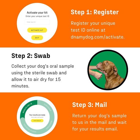 DNA My Dog – Premium Health & Breed Bundle | Breed ID Test (350+ Breeds, 99% Accuracy, Health Test, Age & Wolf DNA) & Allergy Test (120+ Allergens) | Noninvasive Cheek Swab, Fast Results & Custom Care in Kuwait