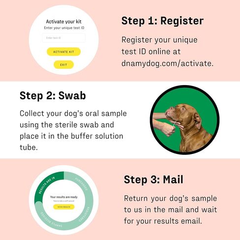 DNA My Dog – Premium Health & Breed Bundle | Breed ID Test (350+ Breeds, 99% Accuracy, Health Test, Age & Wolf DNA) & Allergy Test (120+ Allergens) | Noninvasive Cheek Swab, Fast Results & Custom Care in Kuwait