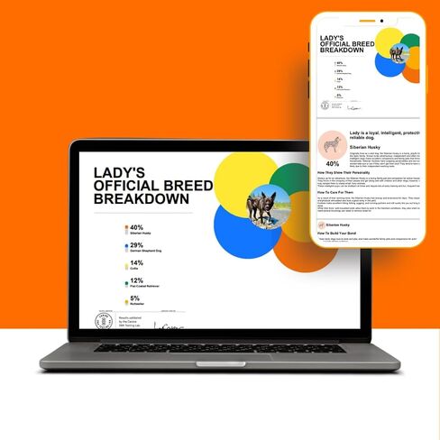 DNA My Dog – Premium Health & Breed Bundle | Breed ID Test (350+ Breeds, 99% Accuracy, Health Test, Age & Wolf DNA) & Allergy Test (120+ Allergens) | Noninvasive Cheek Swab, Fast Results & Custom Care in Kuwait