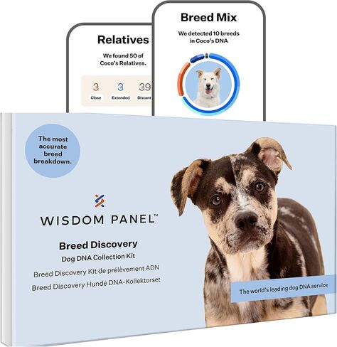 Wisdom Panel Dog Breed Detection DNA Test Kit - Accurate Breed ID MDR1 Pedigree Relatives in Kuwait