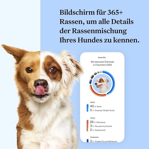 Wisdom Panel Dog Breed Detection DNA Test Kit - Accurate Breed ID MDR1 Pedigree Relatives in Kuwait