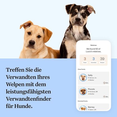 Wisdom Panel Dog Breed Detection DNA Test Kit - Accurate Breed ID MDR1 Pedigree Relatives in Kuwait