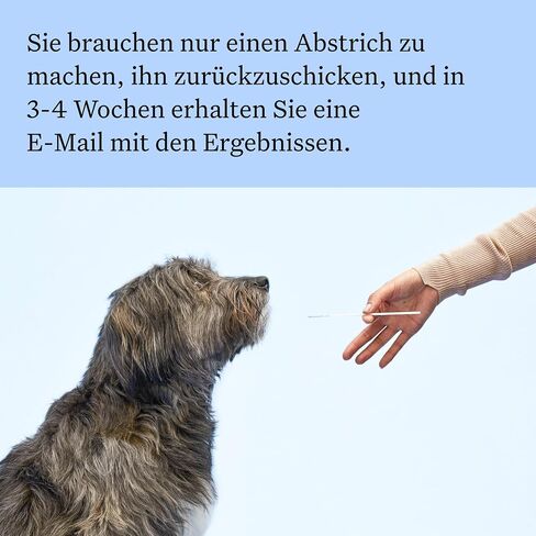 Wisdom Panel Dog Breed Detection DNA Test Kit - Accurate Breed ID MDR1 Pedigree Relatives in Kuwait