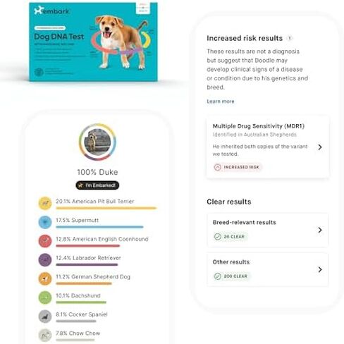 Embark Breed + Health Dog DNA Test & Dog Age Test Bundle - Discover Breed, Ancestry, Relatives, Genetic Health, Traits, and Birthday in Saudi Arabia