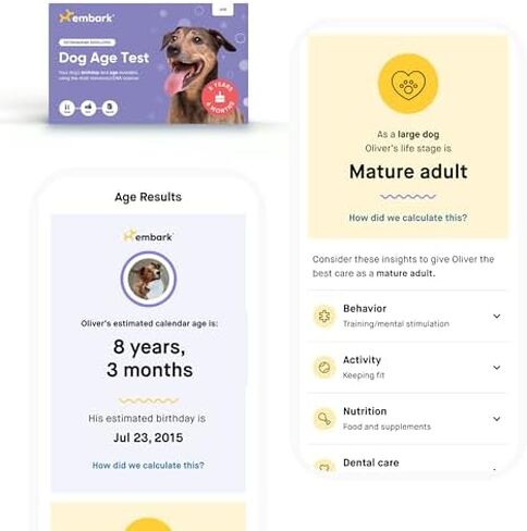 Embark Breed + Health Dog DNA Test & Dog Age Test Bundle - Discover Breed, Ancestry, Relatives, Genetic Health, Traits, and Birthday in Saudi Arabia