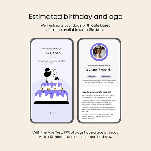 Embark Breed + Health Dog DNA Test & Dog Age Test Bundle - Discover Breed, Ancestry, Relatives, Genetic Health, Traits, and Birthday in Saudi Arabia