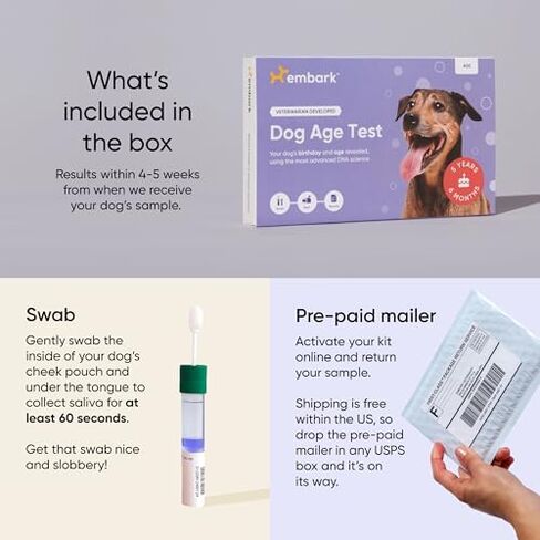 Embark Breed + Health Dog DNA Test & Dog Age Test Bundle - Discover Breed, Ancestry, Relatives, Genetic Health, Traits, and Birthday in Saudi Arabia