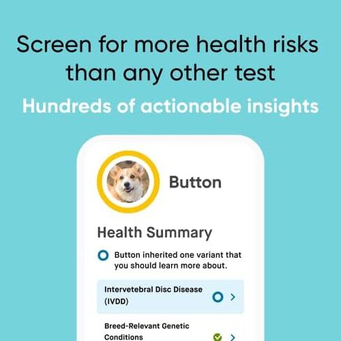 Embark Breed + Health Dog DNA Test & Dog Age Test Bundle - Discover Breed, Ancestry, Relatives, Genetic Health, Traits, and Birthday in Saudi Arabia