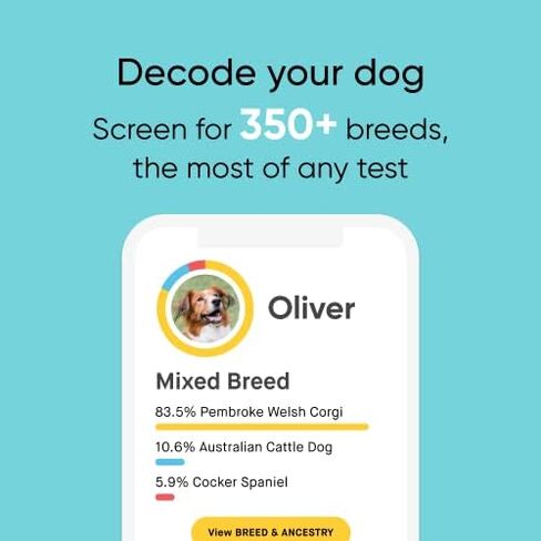 Embark Breed + Health Dog DNA Test & Dog Age Test Bundle - Discover Breed, Ancestry, Relatives, Genetic Health, Traits, and Birthday in Saudi Arabia