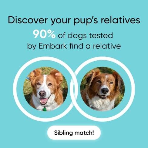 Embark Breed + Health Dog DNA Test & Dog Age Test Bundle - Discover Breed, Ancestry, Relatives, Genetic Health, Traits, and Birthday in Saudi Arabia