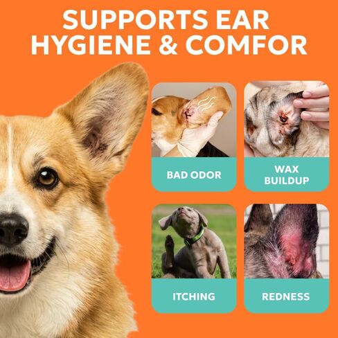 Forticept Dog Ear Wipes, Dog Ear Cleaner, Regular Wipes, 100 Count in Saudi Arabia
