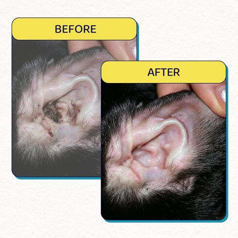 Dog Ear Cleaner, Natural Ear Drops for Dogs, 60-Day Servings in Kuwait
