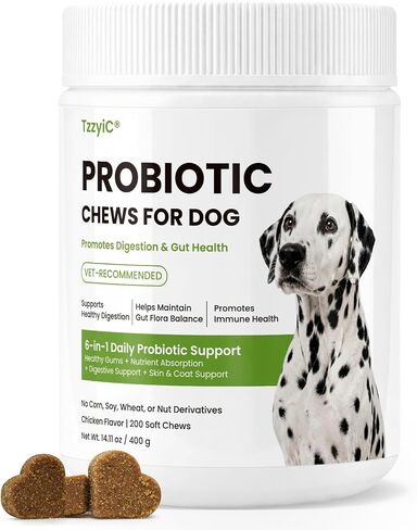 Probiotics for Dogs Gut Digestive Health Probiotic Chews 200 Ct Chicken in Saudi Arabia