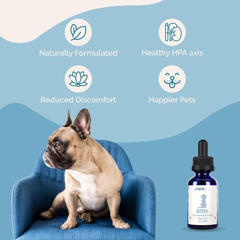 PranaPets Adrenal Balance for Dogs with Cushing’s | Naturally Relieves Symptoms of Adrenal Imbalance in Dogs | Herbal Formula for Balanced Adrenal Function in Kuwait