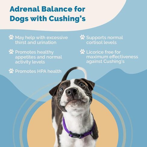 PranaPets Adrenal Balance for Dogs with Cushing’s | Naturally Relieves Symptoms of Adrenal Imbalance in Dogs | Herbal Formula for Balanced Adrenal Function in Kuwait