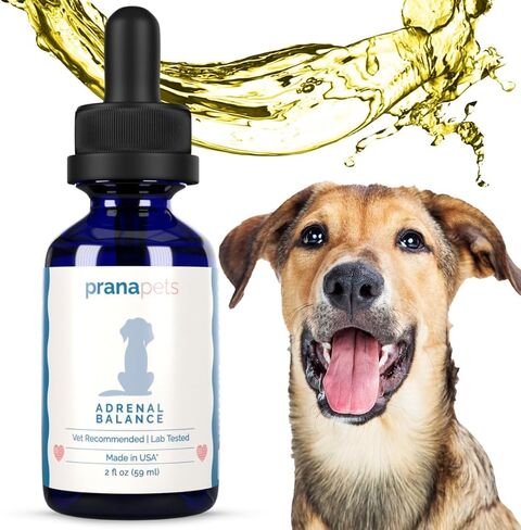 PranaPets Adrenal Balance for Dogs with Cushing’s | Naturally Relieves Symptoms of Adrenal Imbalance in Dogs | Herbal Formula for Balanced Adrenal Function in Kuwait
