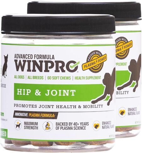 WINPRO Hip & Joint Supplement for Dogs - Plasma Powered Soft Chews for Joint Health & Mobility – Fast-Acting with Collagen & Natural Ingredients for Dogs of All Breeds – 60 Chews in Kuwait