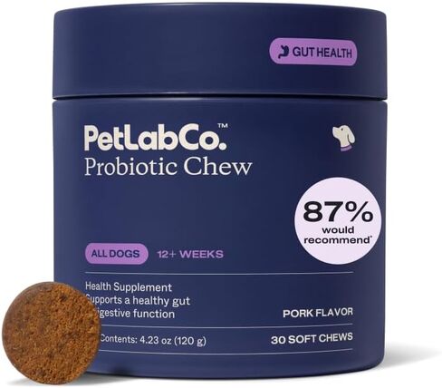 PetLab Co. Probiotic Chews for Dogs, 30 Soft Chews, Salmon in Kuwait