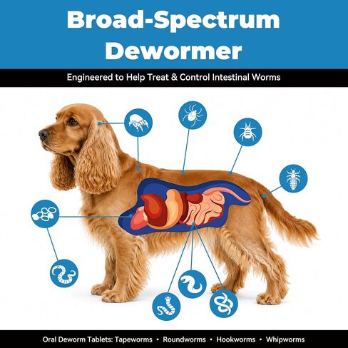 Dewormer for Dogs（Fenbendazole 222mg），Treatment and Control of Tapeworm，Roundworm，Hookworm，Whipworms，Lungworm & Giardia for Small，Medium & Large Dogs, Palatable Beef Flavor，Easy Dosing，30 Tablets in Kuwait