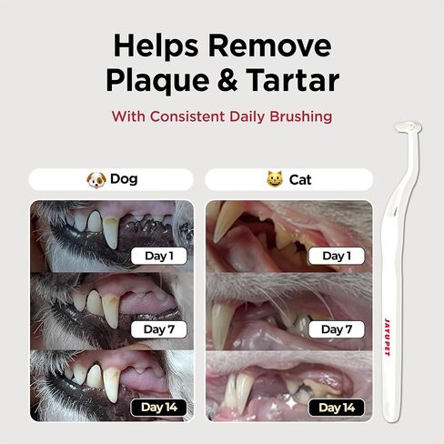 JAYU PET Dental Gel Dog Cat Toothpaste, 2.8 Ounce in Kuwait