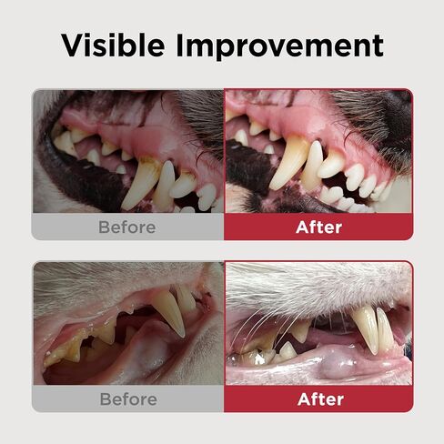 JAYU PET Dental Gel Dog Cat Toothpaste, 2.8 Ounce in Kuwait