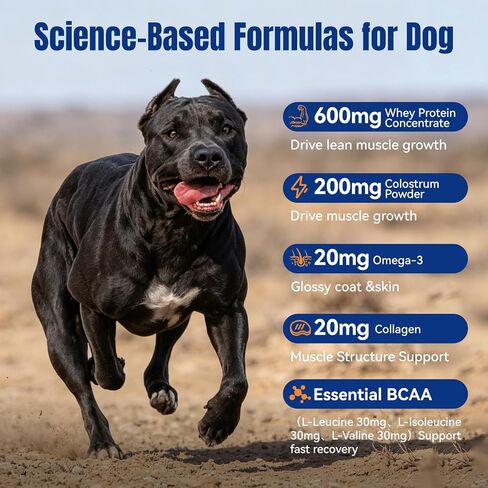 Muscle Gain Chews for Dogs, Weight Gain Supplement with Whey Protein & BCAA Amino Acids for Lean Muscle Support, Strength & Daily Vitality, Vitamins for Active & Bully Breeds, Bacon Flavor, 110 Count in Kuwait