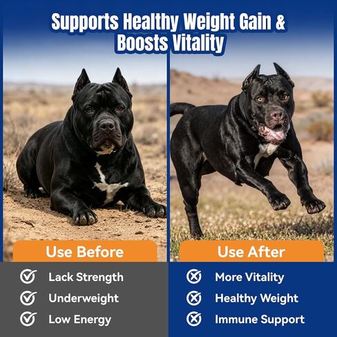Muscle Gain Chews for Dogs, Weight Gain Supplement with Whey Protein & BCAA Amino Acids for Lean Muscle Support, Strength & Daily Vitality, Vitamins for Active & Bully Breeds, Bacon Flavor, 110 Count in Kuwait