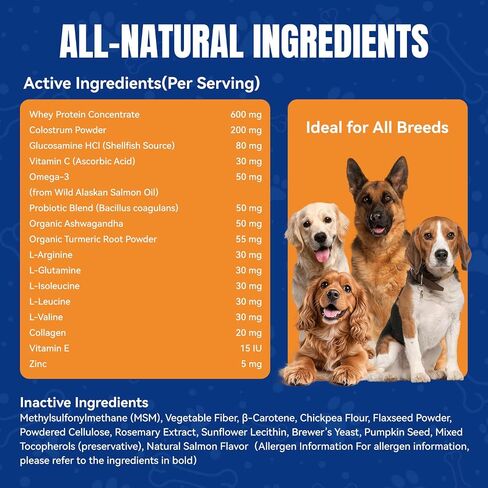 Muscle Gain Chews for Dogs, Weight Gain Supplement with Whey Protein & BCAA Amino Acids for Lean Muscle Support, Strength & Daily Vitality, Vitamins for Active & Bully Breeds, Bacon Flavor, 110 Count in Kuwait