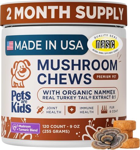 Pets are Kids Turkey Tail Mushroom for Dogs, Gut, Skin and Joint Support in Kuwait