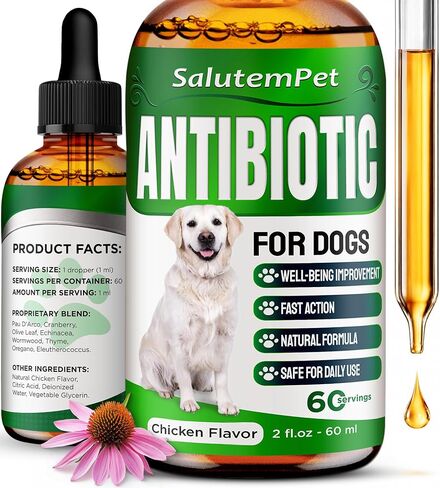 Dog Antibiotics for Infections, Cough, & Itching | Natural Antibiotics for Dogs for All Ages to Promote Wound Healing | Dog UTI Treatment and Tooth Infection Treatment | Chicken Flavor | 2 Oz in Kuwait
