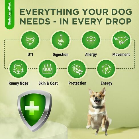 Dog Antibiotics for Infections, Cough, & Itching | Natural Antibiotics for Dogs for All Ages to Promote Wound Healing | Dog UTI Treatment and Tooth Infection Treatment | Chicken Flavor | 2 Oz in Kuwait