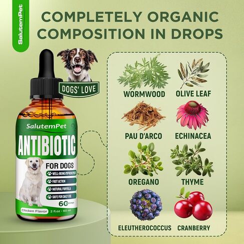 Dog Antibiotics for Infections, Cough, & Itching | Natural Antibiotics for Dogs for All Ages to Promote Wound Healing | Dog UTI Treatment and Tooth Infection Treatment | Chicken Flavor | 2 Oz in Kuwait