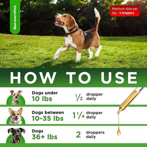 Dog Antibiotics for Infections, Cough, & Itching | Natural Antibiotics for Dogs for All Ages to Promote Wound Healing | Dog UTI Treatment and Tooth Infection Treatment | Chicken Flavor | 2 Oz in Kuwait