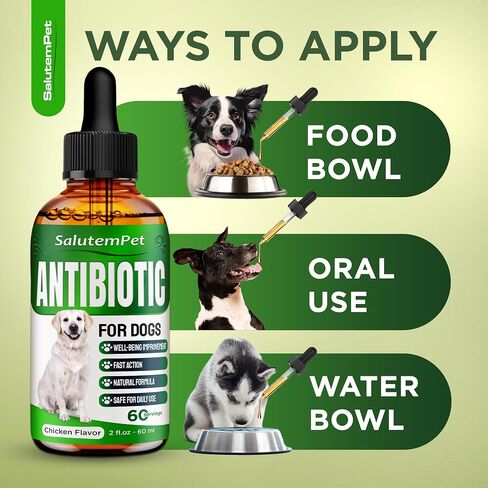 Dog Antibiotics for Infections, Cough, & Itching | Natural Antibiotics for Dogs for All Ages to Promote Wound Healing | Dog UTI Treatment and Tooth Infection Treatment | Chicken Flavor | 2 Oz in Kuwait