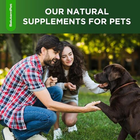 Dog Antibiotics for Infections, Cough, & Itching | Natural Antibiotics for Dogs for All Ages to Promote Wound Healing | Dog UTI Treatment and Tooth Infection Treatment | Chicken Flavor | 2 Oz in Kuwait