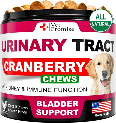 Turkey Tail Mushroom for Dogs - 170 Chews - Mushroom Supplement for Dogs in Kuwait