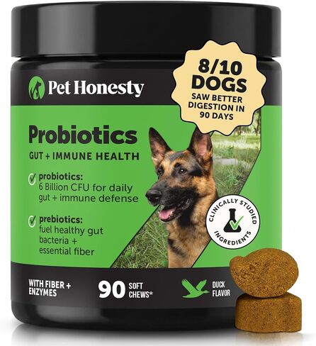 Pet Honesty Dog Probiotics Chews for Gut & Digestive Health, 90ct, Pumpkin in Saudi Arabia
