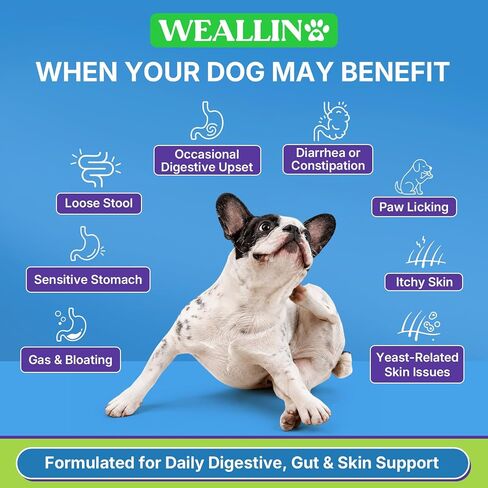 Probiotics for Dogs, Dog Probiotics for Yeast, Itchy Skin and Itchy Ears in Saudi Arabia