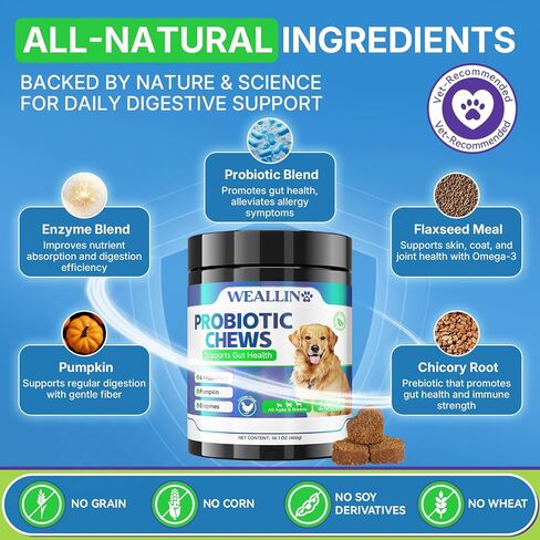 Probiotics for Dogs, Dog Probiotics for Yeast, Itchy Skin and Itchy Ears in Saudi Arabia