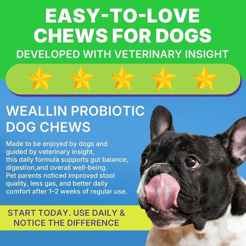 Probiotics for Dogs, Dog Probiotics for Yeast, Itchy Skin and Itchy Ears in Saudi Arabia