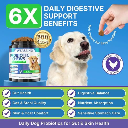 Probiotics for Dogs, Dog Probiotics for Yeast, Itchy Skin and Itchy Ears in Saudi Arabia