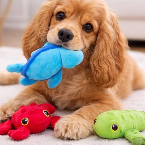 Snugarooz Lil Ocean Buddies Dog Toy Set with Repair Patch – 3 Pack with Crab, Turtle & Frog, Plush & Sustainable – Made from Recycled Water Bottles in Saudi Arabia